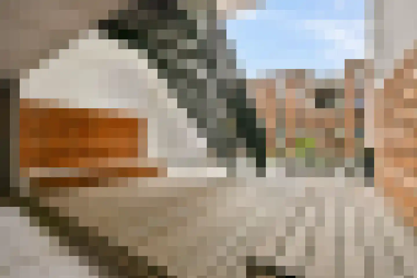 Welnastraat 89 Amsterdam thumbnail 17