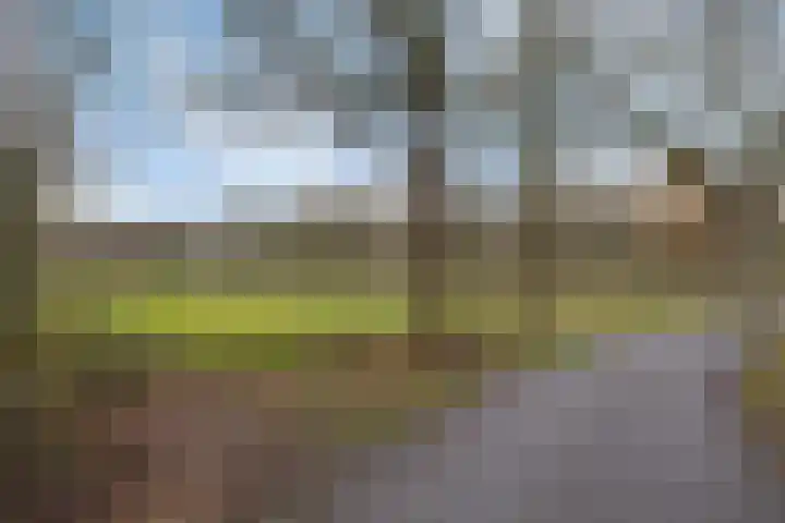 Welpelohoek 10 Enschede thumbnail 43