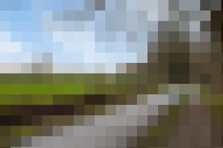 Welpelohoek 10 Enschede thumbnail 44