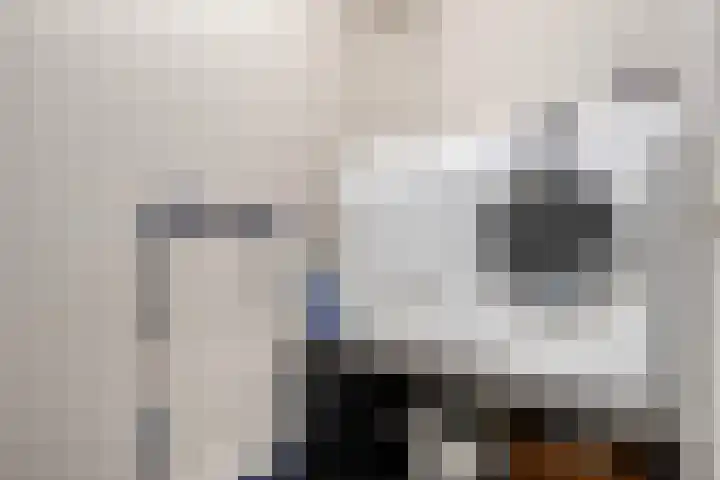 Welpenheuvel 11 De Mortel thumbnail 10