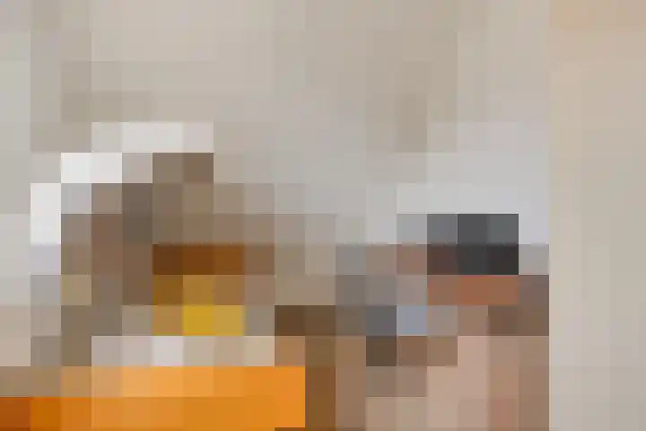Welpenheuvel 11 De Mortel thumbnail 22