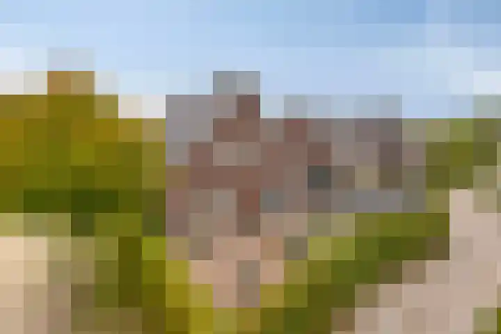 Welpenheuvel 11 De Mortel thumbnail 26