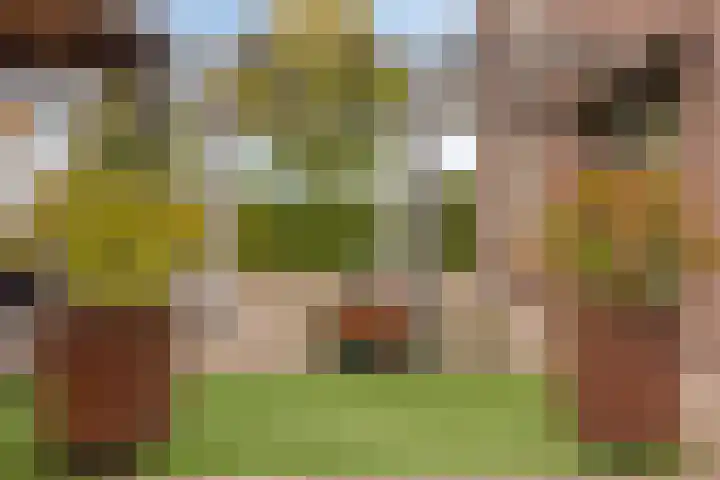 Welpenheuvel 11 De Mortel thumbnail 31