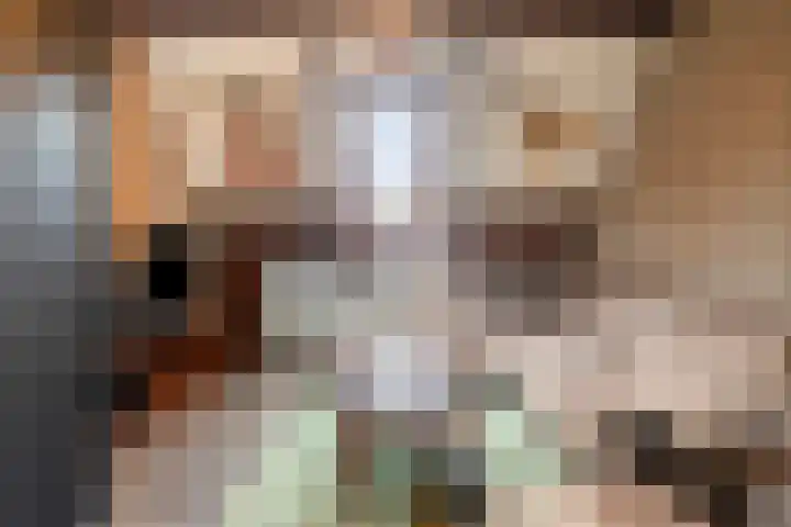 Welpenheuvel 11 De Mortel thumbnail 34