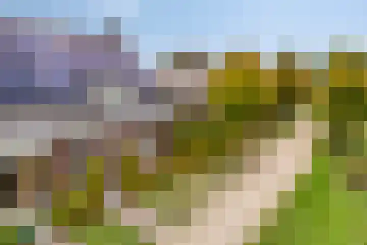Welpenheuvel 11 De Mortel thumbnail 36