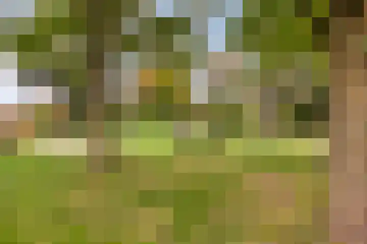 Welpenheuvel 11 De Mortel thumbnail 38