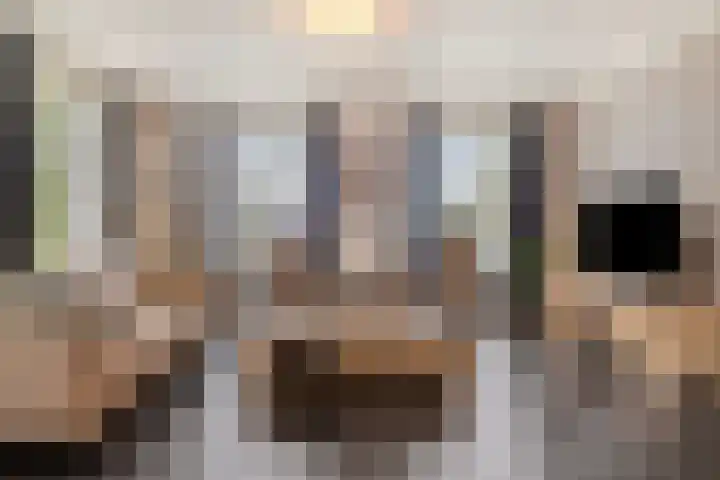 Welpenheuvel 11 De Mortel thumbnail 4