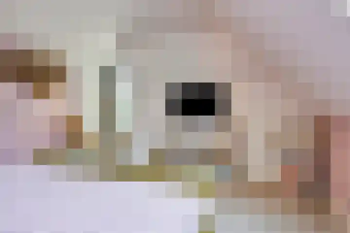 Welpenheuvel 2 De Mortel thumbnail 34