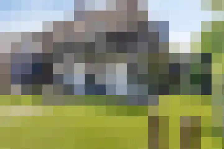 Welpenheuvel 2 De Mortel thumbnail 42