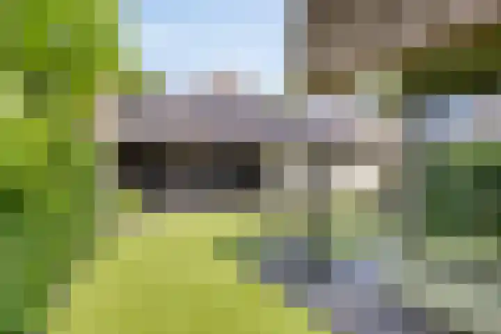 Welpenheuvel 2 De Mortel thumbnail 47