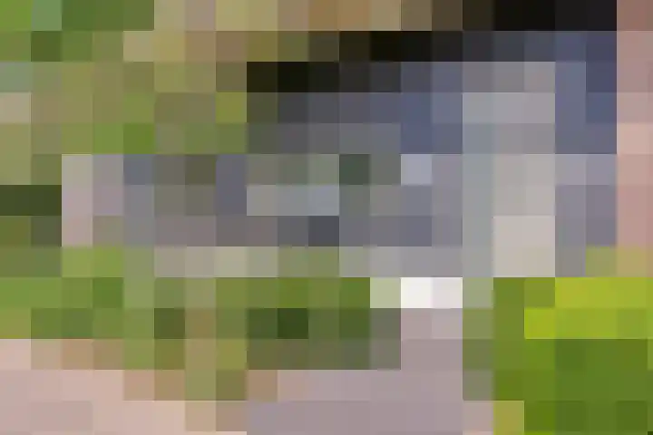 Welpenheuvel 2 De Mortel thumbnail 6