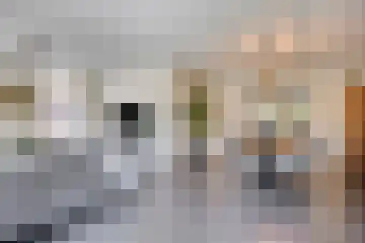 Welpenheuvel 26 De Mortel thumbnail 10