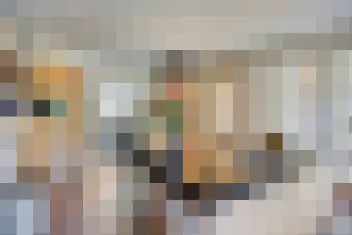 Welpenheuvel 26 De Mortel thumbnail 17