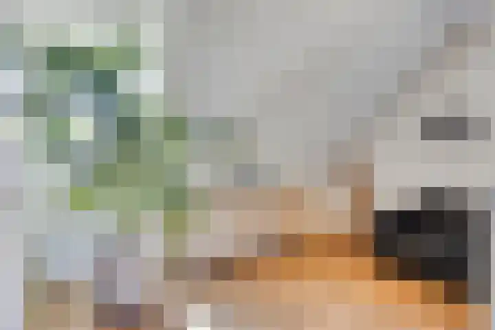 Welpenheuvel 26 De Mortel thumbnail 24