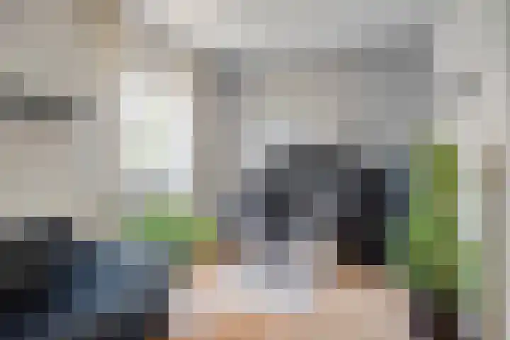 Welpenheuvel 26 De Mortel thumbnail 25