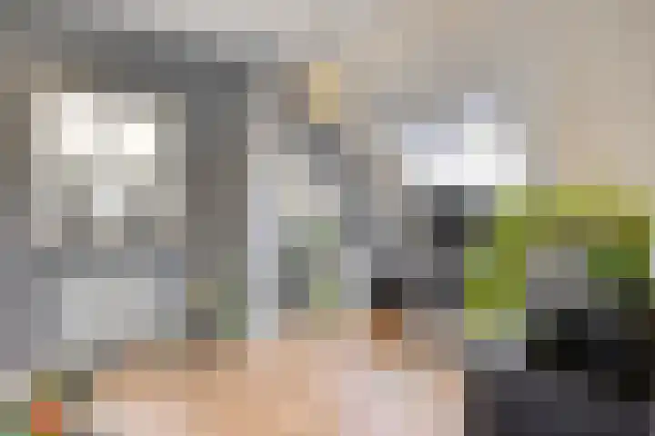 Welpenheuvel 26 De Mortel thumbnail 26