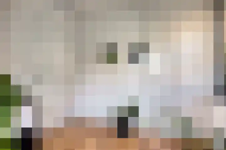 Welpenheuvel 26 De Mortel thumbnail 27