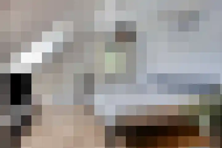 Welpenheuvel 26 De Mortel thumbnail 29