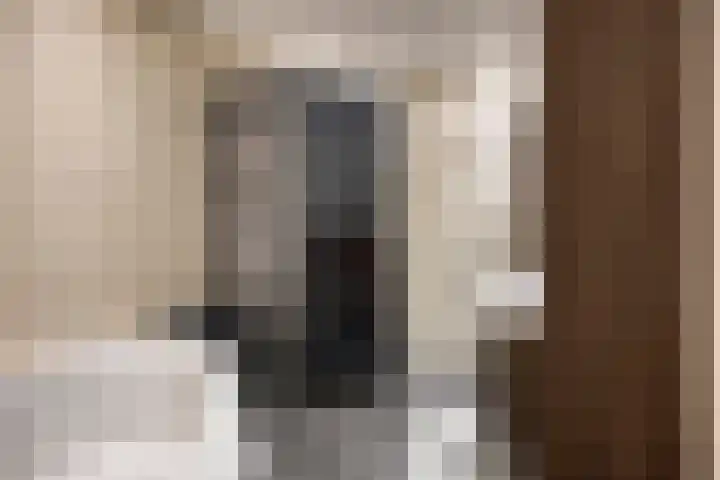 Welpenheuvel 26 De Mortel thumbnail 33