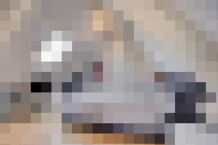 Welpenheuvel 26 De Mortel thumbnail 39