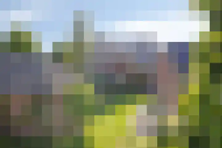 Welpenheuvel 26 De Mortel thumbnail 40