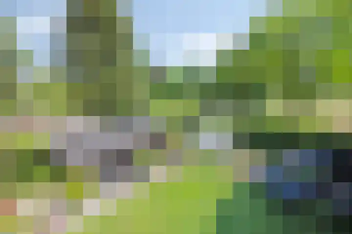 Welpenheuvel 26 De Mortel thumbnail 42