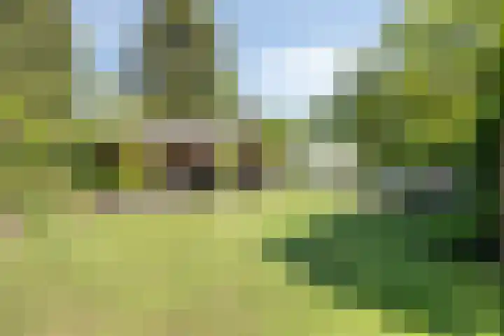 Welpenheuvel 26 De Mortel thumbnail 43