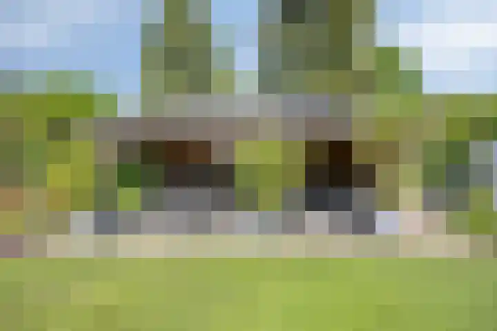 Welpenheuvel 26 De Mortel thumbnail 44