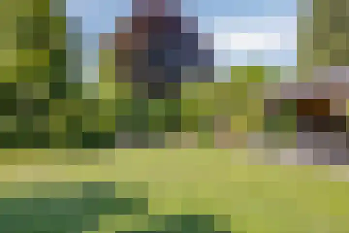 Welpenheuvel 26 De Mortel thumbnail 45