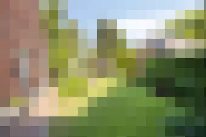 Welpenheuvel 26 De Mortel thumbnail 46
