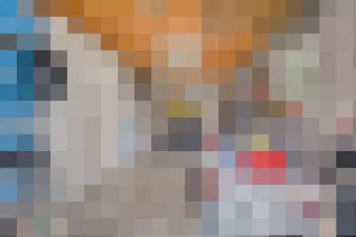 Welpenheuvel 26 De Mortel thumbnail 47