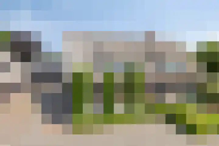 Welpenheuvel 26 De Mortel thumbnail 49