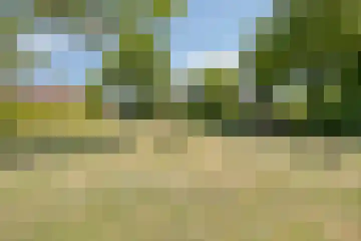 Welpenheuvel 26 De Mortel thumbnail 51