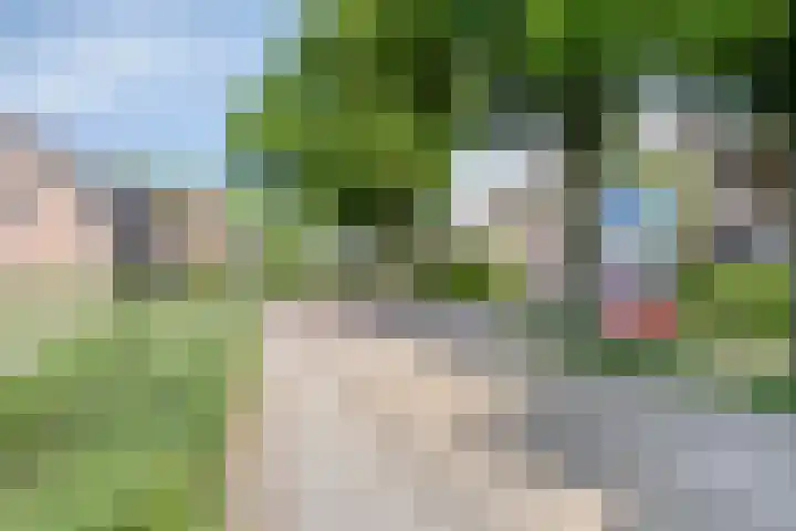 Welpenheuvel 26 De Mortel thumbnail 52