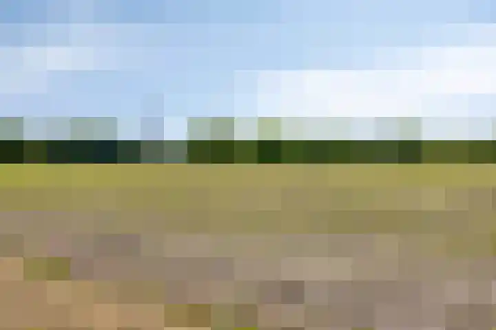Welpenheuvel 26 De Mortel thumbnail 53
