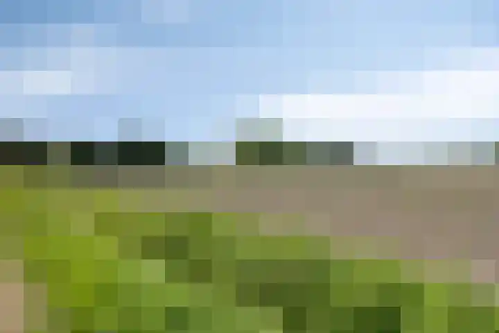 Welpenheuvel 26 De Mortel thumbnail 54