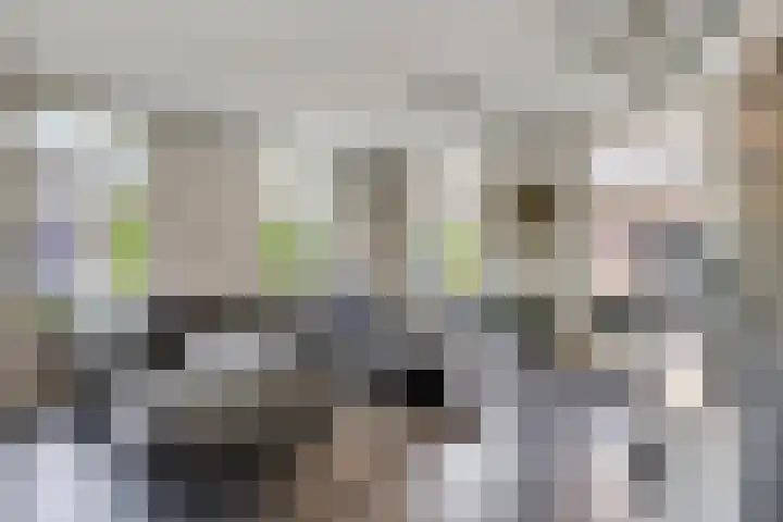 Welpenheuvel 26 De Mortel thumbnail 7