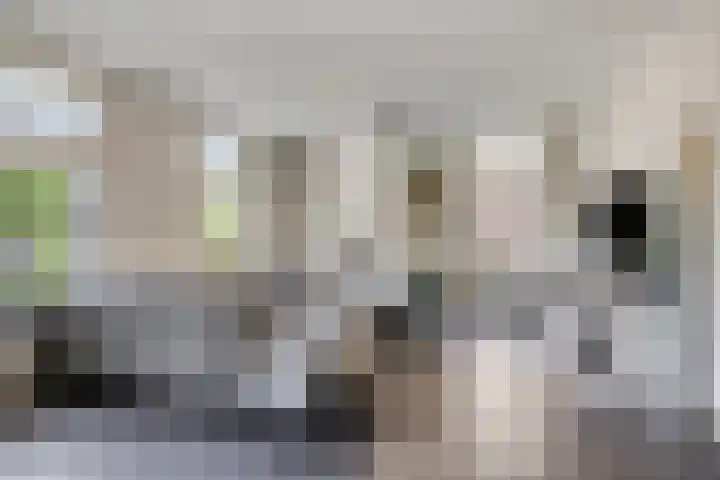 Welpenheuvel 26 De Mortel thumbnail 8