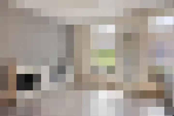 Welpenheuvel 26 De Mortel thumbnail 9
