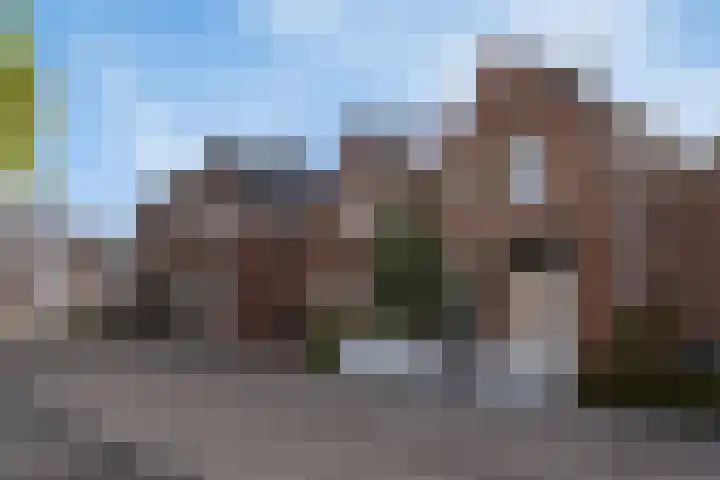 Welpenstraat 24 Helmond thumbnail 10