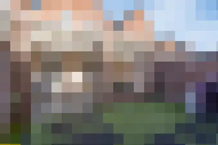 Welpenstraat 24 Helmond thumbnail 28