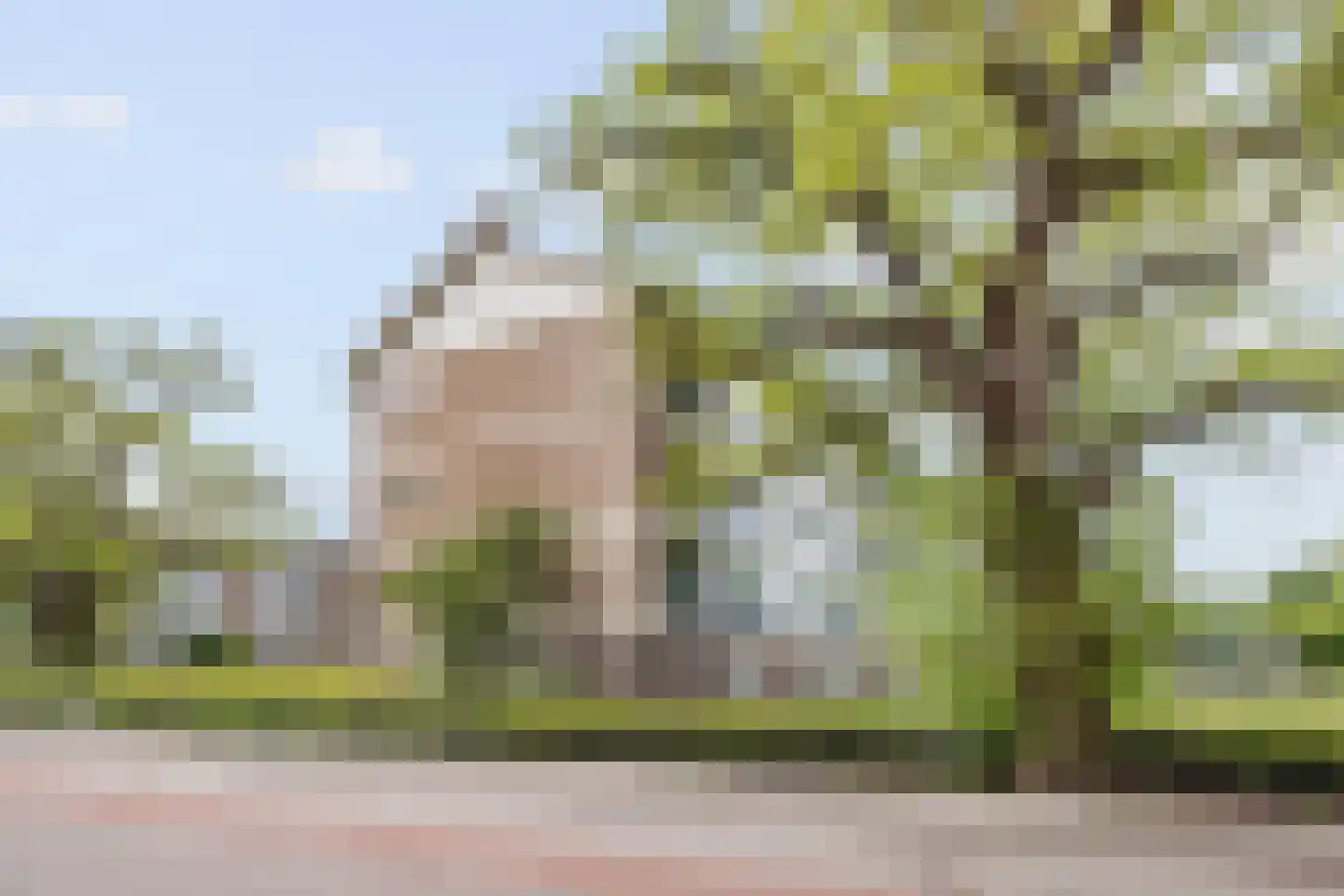 Welschapsedijk 107 Eindhoven thumbnail 43