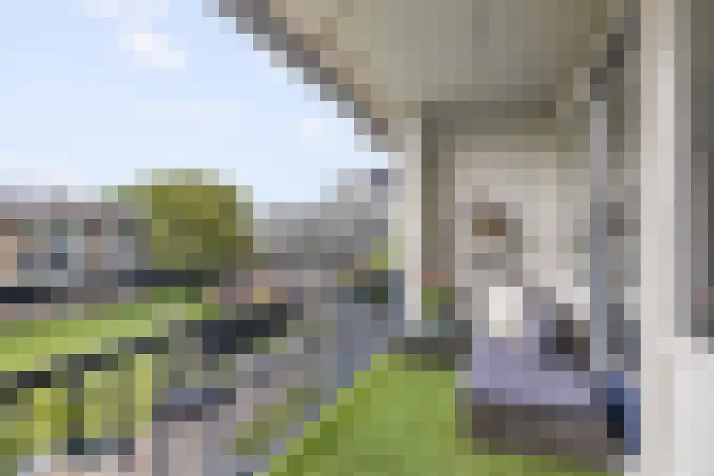 Welschapsedijk 107 Eindhoven thumbnail 5