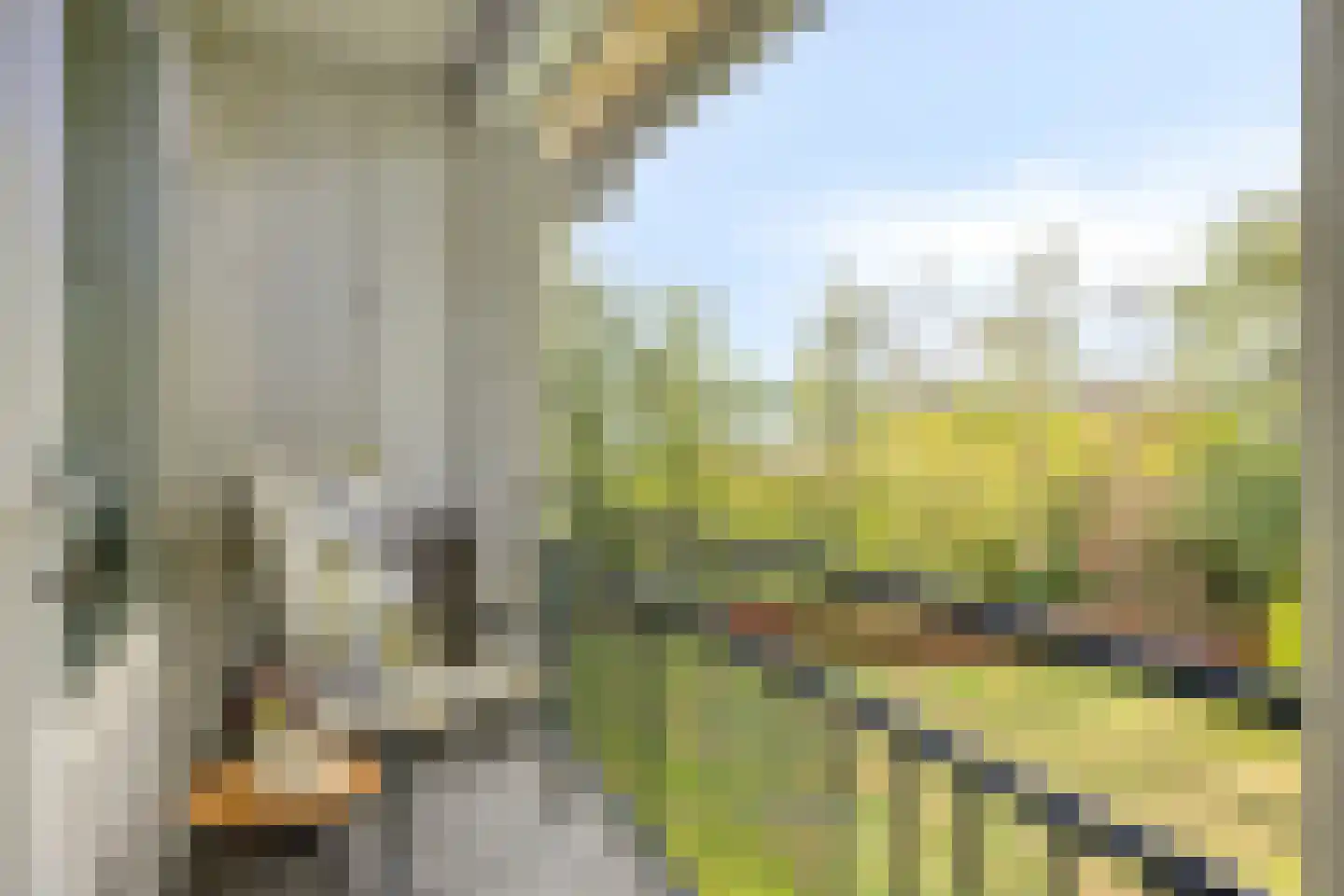 Welschapsedijk 141 Eindhoven thumbnail 17