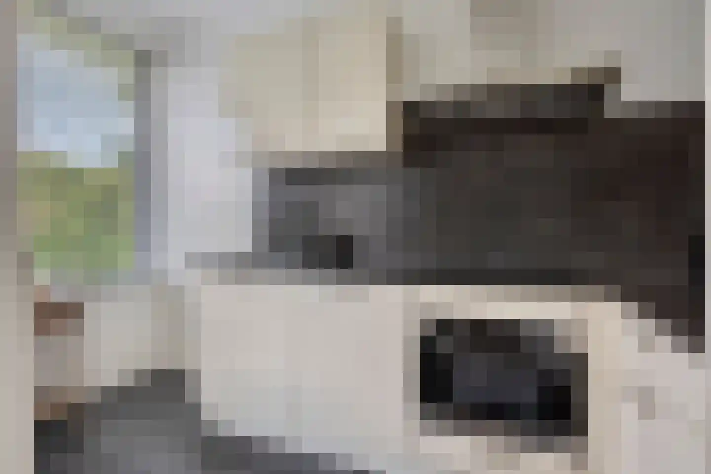 Welschapsedijk 141 Eindhoven thumbnail 20