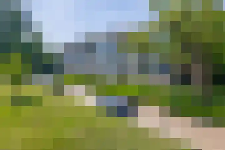 Welschapsedijk 143 Eindhoven thumbnail 10