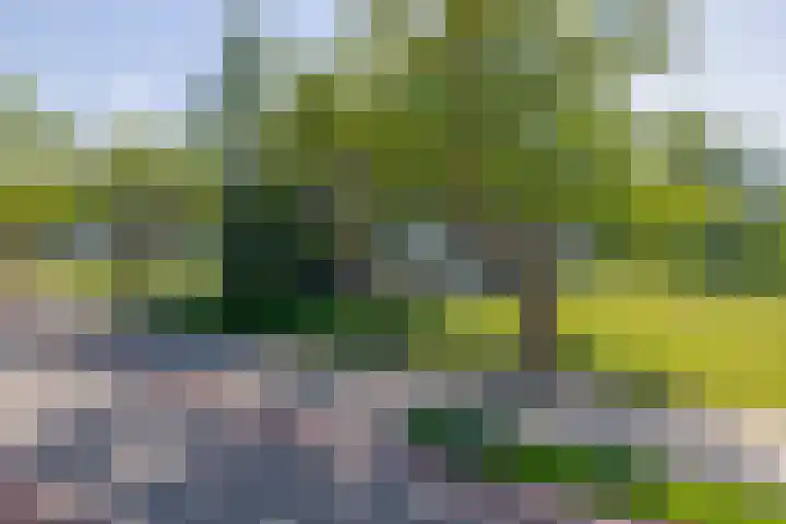 Welschapsedijk 143 Eindhoven thumbnail 12