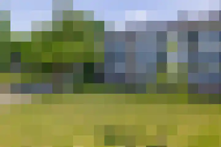Welschapsedijk 143 Eindhoven thumbnail 13