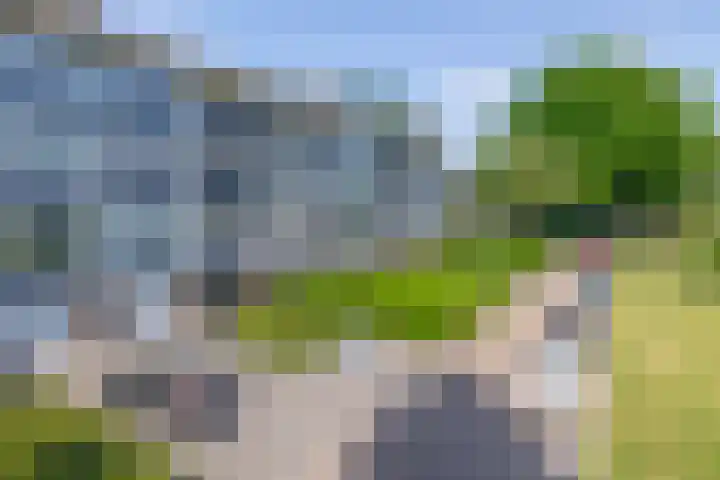Welschapsedijk 143 Eindhoven thumbnail 5