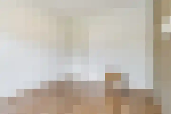 Welschapsedijk 41 Eindhoven thumbnail 19